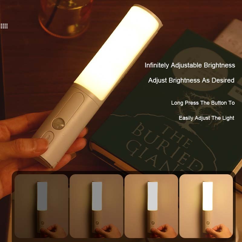 Human Body Induction Motion Sensor LED Night