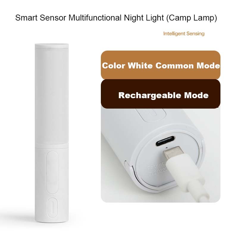 Human Body Induction Motion Sensor LED Night